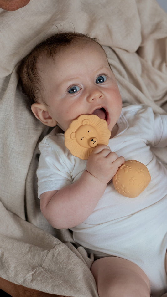 Rangle og bidering, løve