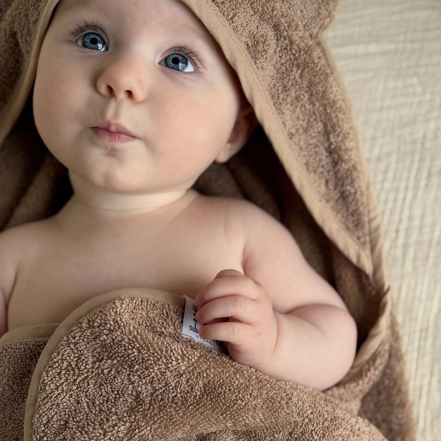 Babyhåndklæde i økologisk bomuld med hætte og kaninører - Warm Taupe