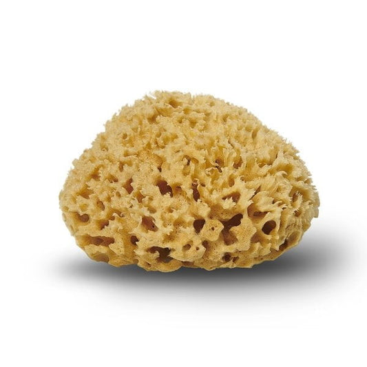Cocoon Company - Natursvamp Honeycomb
